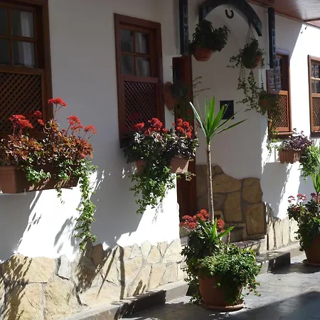Frankfurt 2* Antalya